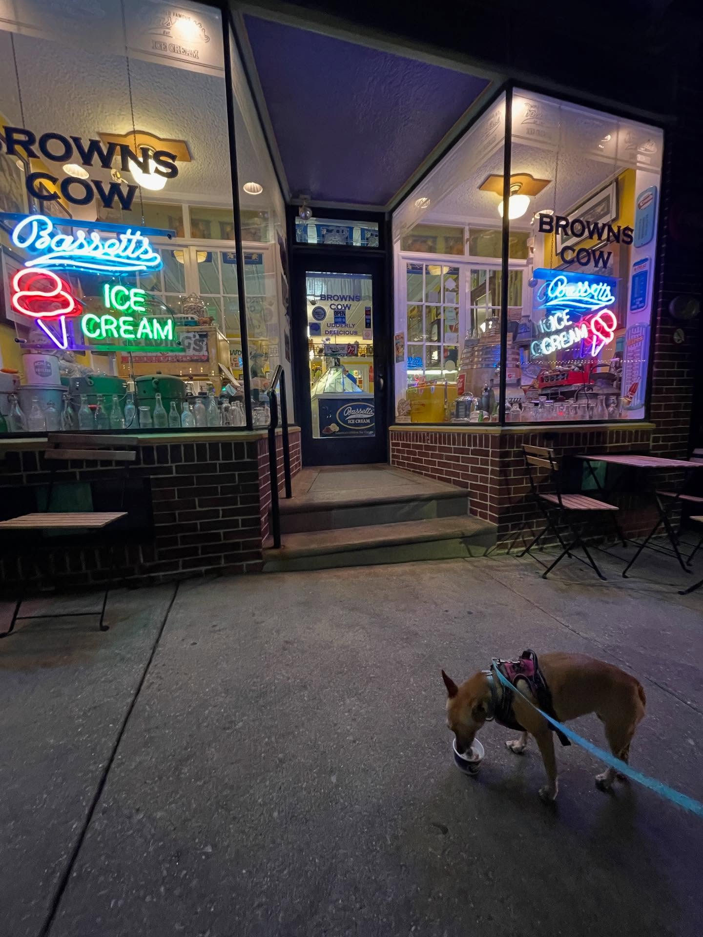 For #internationaldogday last night we took the #dog out for a #pupcup from @brownscowpxv